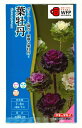 花の種 葉牡丹 F1ラッフル ミックス 約30粒 タキイ種苗(株)