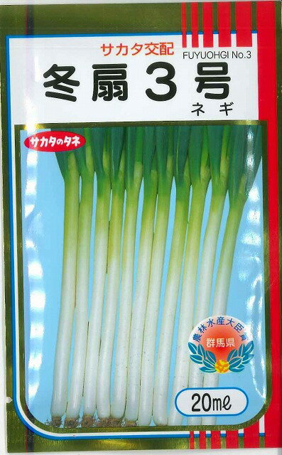 特性 1． 3〜5月まきの、11〜3月どりに適する合黒タイプの秋冬ネギです。 2． 耐寒性がとくに強く、霜が降りる厳寒期でも葉折れが少なく、良品多収となります。 3． 葉鞘部の伸び、とくに低温期の昇りがよく、土質の重い地域や冷涼地、ハウス簡易軟白栽培に適します。 4． 草勢は強く、立葉で葉折れが少ないので、機械管理作業が容易です。 5． 葉鞘部の長さは40〜45cm、太さは商品価値の高いL〜2Lでそろうため、秀品率が高く、収穫調整作業が容易です。 6． 苗のそろいや定植後の生育がよいため、チェーンポットやセル育苗で特に能力を発揮します。 蒔き時期をご確認下さい。