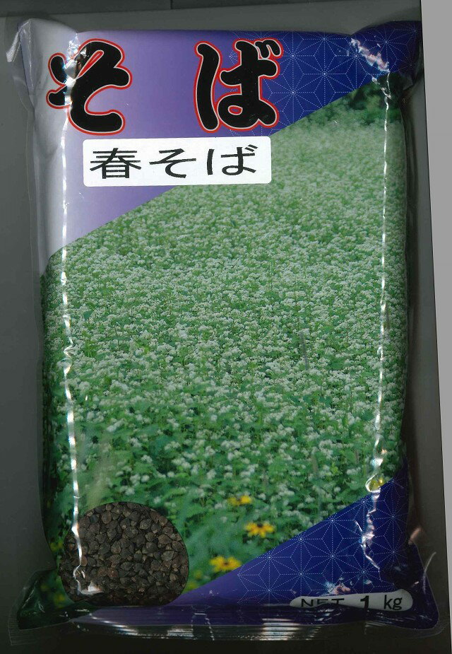 その他そば　春そば　1kg　カネコ種苗