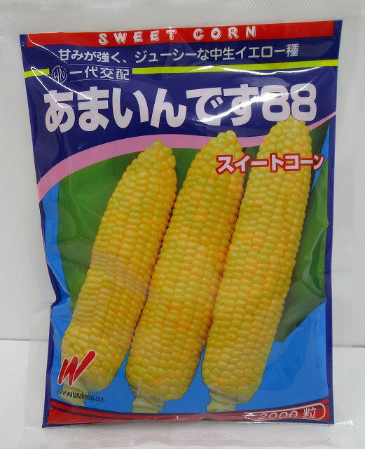 とうもろこし あまいんです88 2000粒 渡辺農事(株)