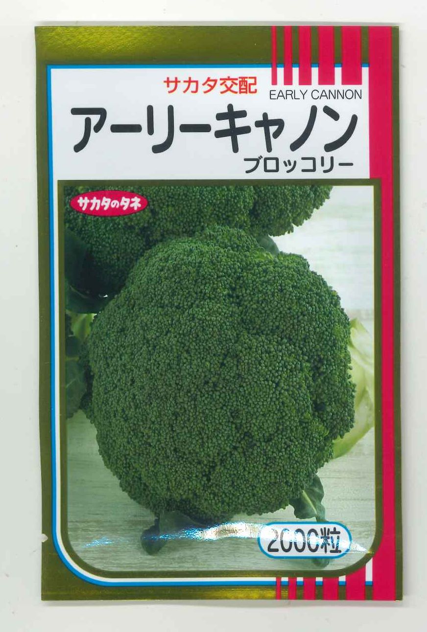 ブロッコリー アーリーキャノン 2000粒 (株)サカタのタネ