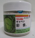 キャベツ 彩音 ペレット5000粒 タキイ種苗(株)