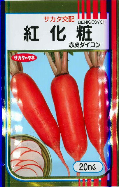 大根 紅化粧 20ml (株)サカタのタネ