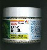 キャベツ 春波 ペレット種子5000粒 タキイ種苗(株)