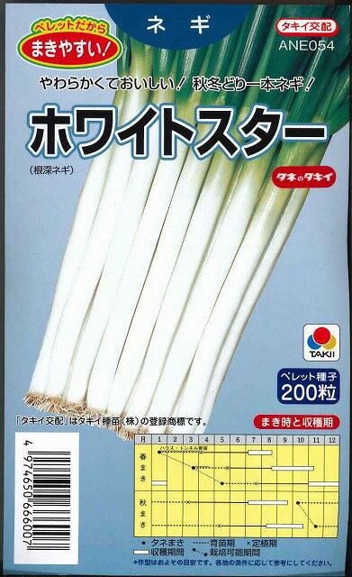 ねぎ ホワイトスター ペレット200粒 タキイ種苗(株)