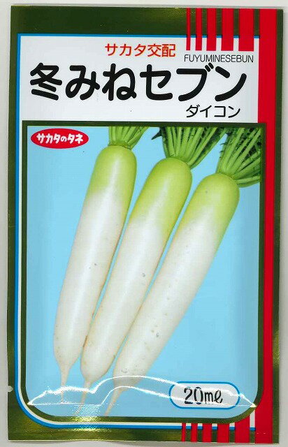 大根 冬みねセブン 20ml (株)サカタのタネ