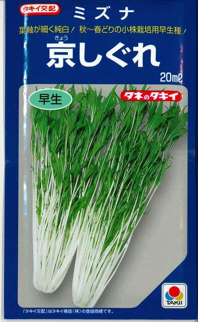 葉物　水菜京しぐれ　20mlタキイ種苗（株）