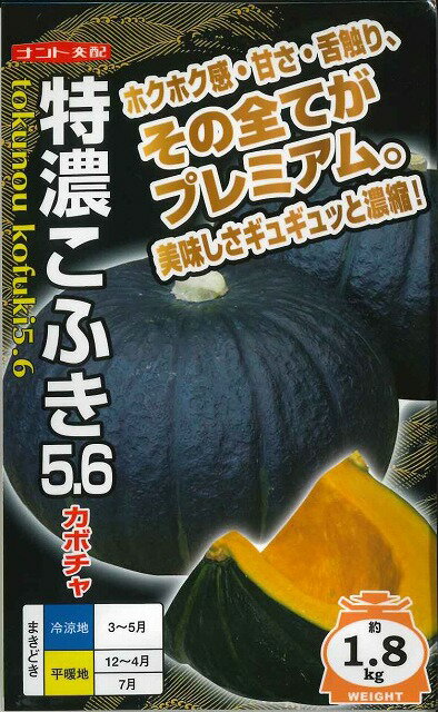 かぼちゃ特濃こふき5.6　　7粒ナント種苗