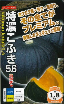 かぼちゃ特濃こふき5.6　　8粒ナント種苗