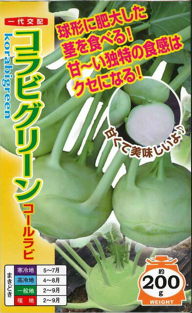 その他コールラビコラビグリーン60粒　ナント種苗