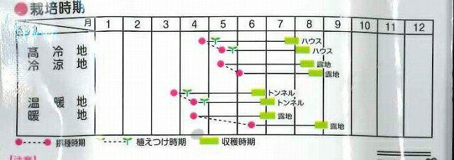 枝豆　とびきり　1dlサカタのタネ