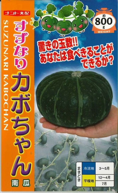 かぼちゃすずなりカボちゃん　　7粒ナント種苗のサムネイル
