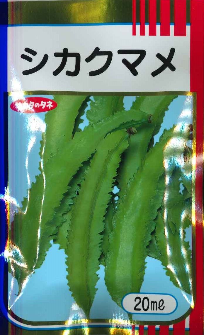 豆類シカクマメ20ml（株）サカタの