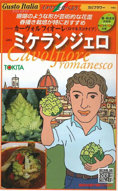 イタリア野菜ミケランジェロ50粒 トキタ種苗（株）