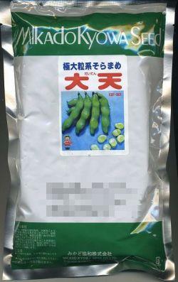 そら豆 大天 230粒 ヴィルモランみかど(株)