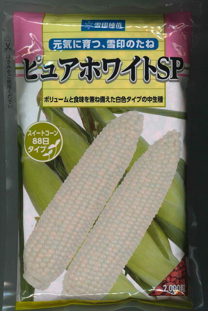 【全国送料無料】万能小ねぎ　スリム　/ トーホク 野菜 ハーブ 草花 園芸 栽培 肥料 家庭菜園 球根 苗 種まき 種子 たね タネ 植物 ガーデニング じょうろ 松永種苗 フタバ種苗 サカタのタネ タキイ種苗★在庫がある商品のみ12時（土日祝を除く）までのご注文で当日出荷