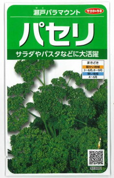 パセリ　瀬戸パラマウント　小袋　実咲サカタのタネ