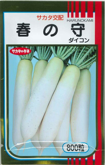 大根 春の守 800粒 (株)サカタのタネ