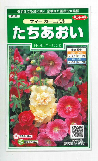 花の種 たちあおいホリホック サマーカーニバル 約25粒 株 サカタのタネ 実咲