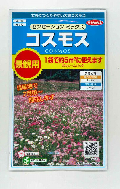 花の種 景観用コスモス センセーションミックス 小袋 (株)サカタのタネ 実咲（026176）のサムネイル