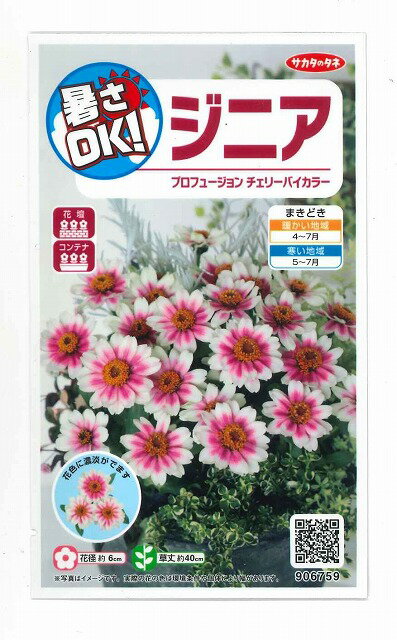 花の種 ジニアプロフュージョン チェリーバイカラー 約10粒 株 サカタのタネ 実咲