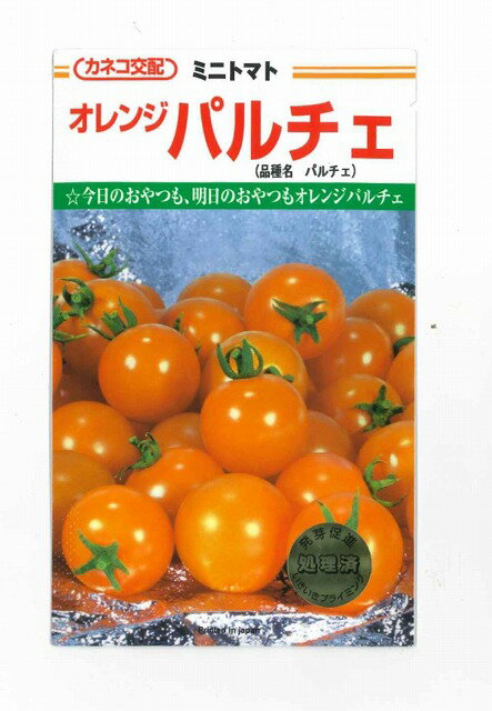 ミニトマトオレンジパルチェ 13粒カネコ交配