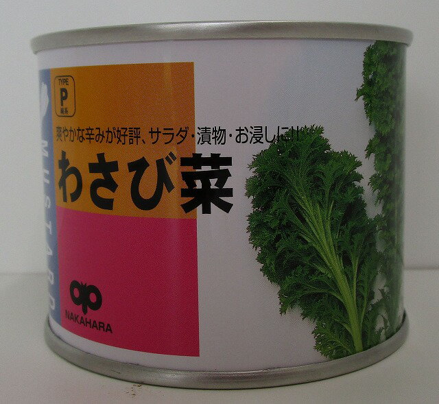 わさび菜 2dl 中原採種場（株）