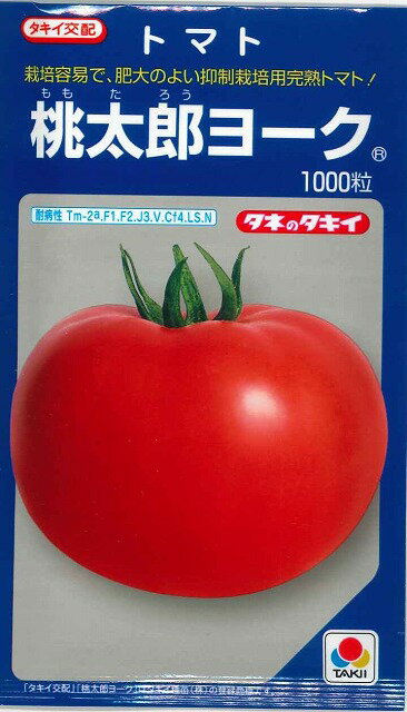 トマト桃太郎ヨーク1000粒タキイ種苗（株）