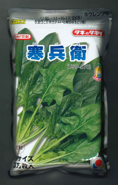 ほうれんそう 寒兵衛 Mサイズ 3万粒 タキイ種苗(株)