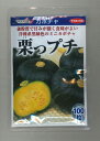 かぼちゃ 栗っプチ 100粒 (株)サカタのタネ