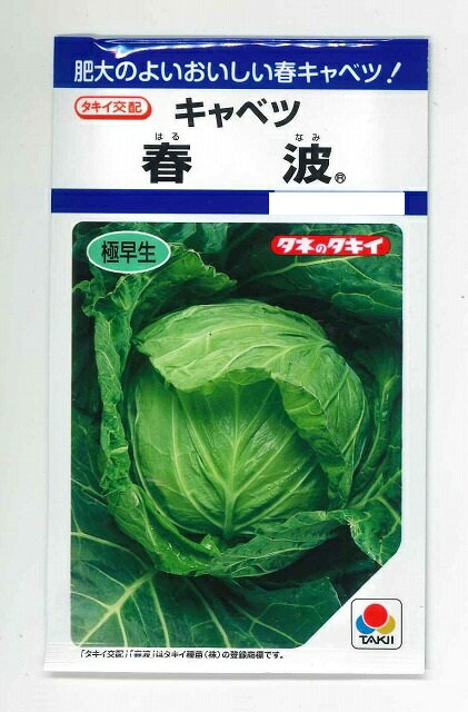 キャベツ春波　1.2ml（約130粒）　タキイ交配　DFのサムネイル