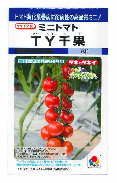 トマトTY千果　9粒タキイ交配　DFのサムネイル