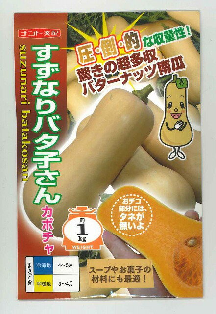 かぼちゃ すずなりバタ子さん 100粒 ナント種苗（株）