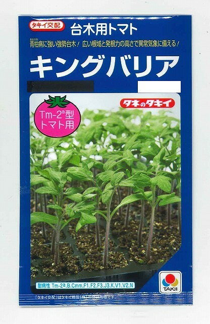 台木（トマト用）キングバリア50粒 タキイ種苗（株）