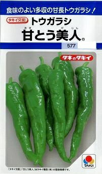 とうがらし 甘とう美人35粒 タキイ種苗(株)DF