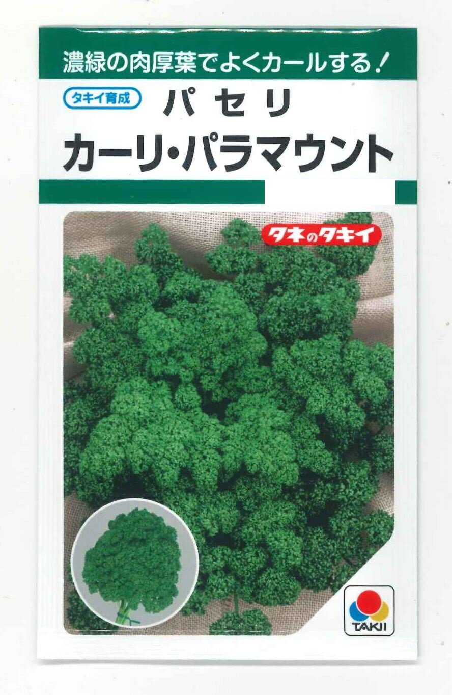 葉物 パセリ カーリ・パラマウント(約620粒) タキイ種苗(株) GF