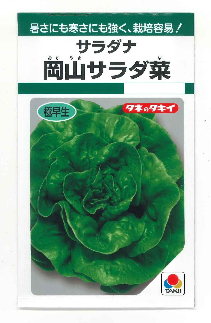 サラダナ 岡山サラダ菜 1.4ml タキイ種苗(株)GFのサムネイル