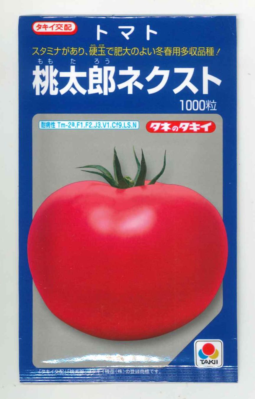 大玉トマト桃太郎ネクスト1000粒　タキイ種苗（株）