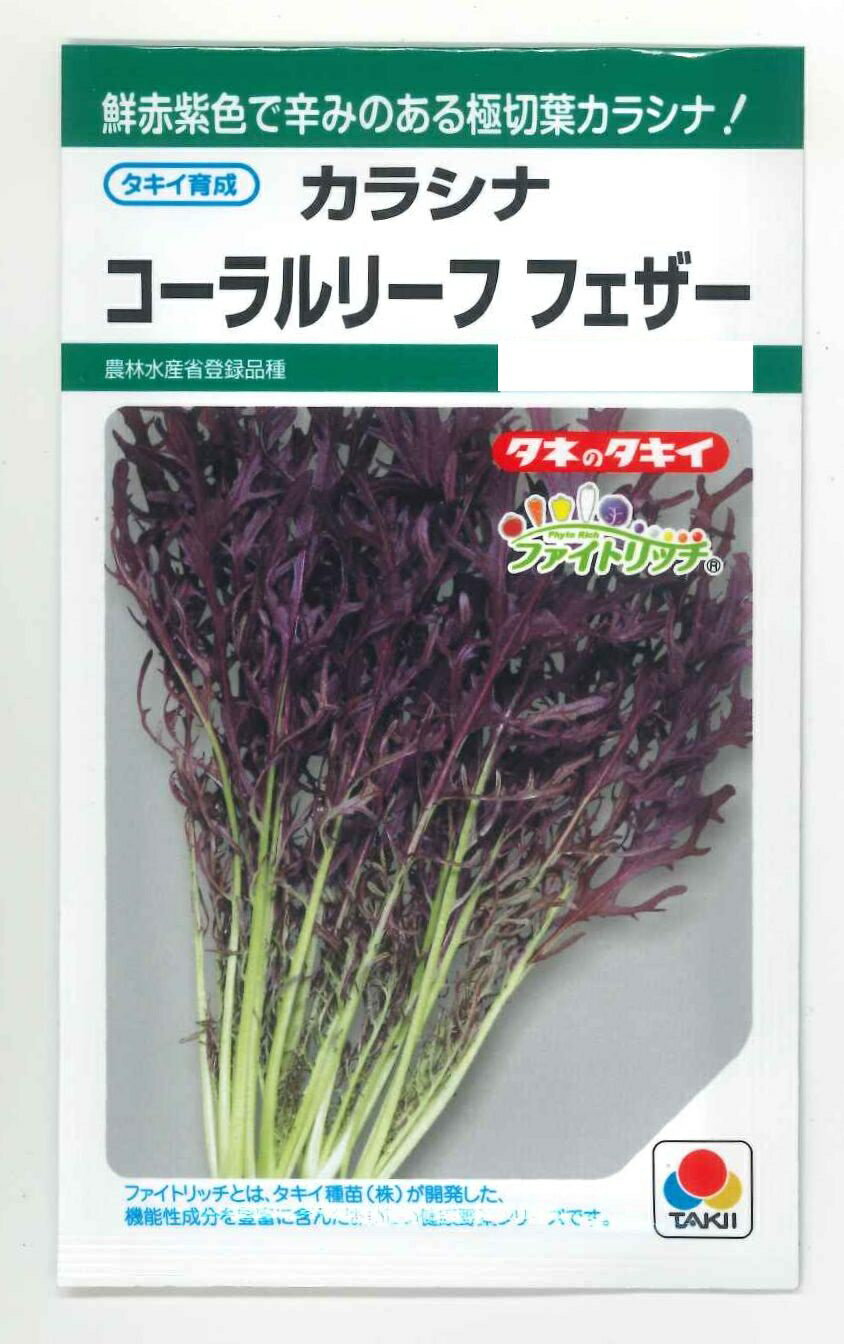 葉物 からしな コーラルリーフフェザー 6ml タキイ種苗(株)GF
