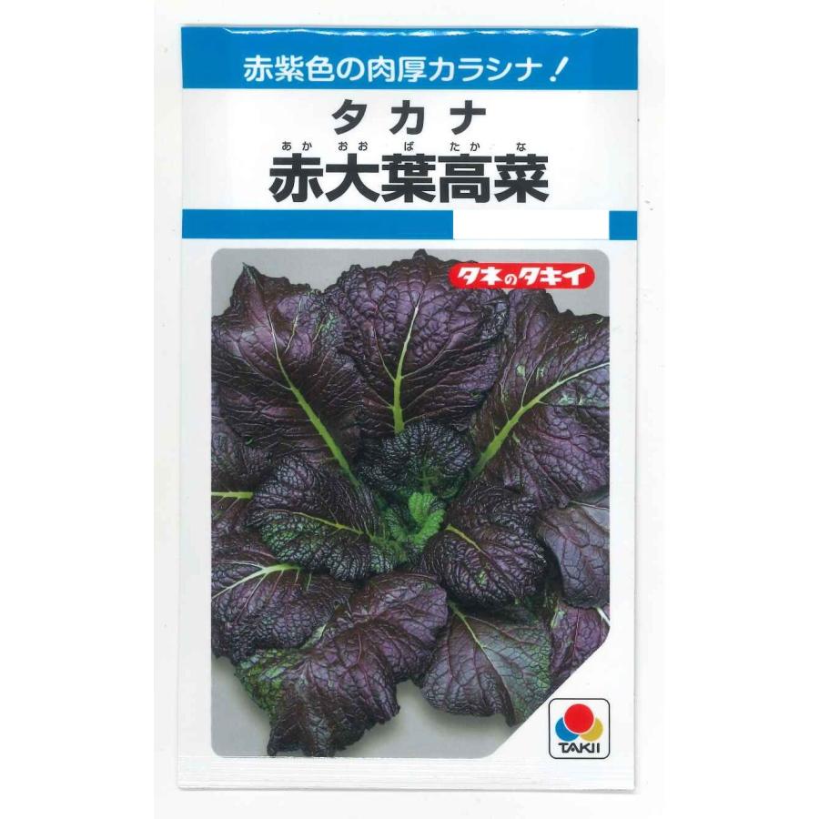 赤大葉高菜 3.5ml タキイ種苗(株)MF