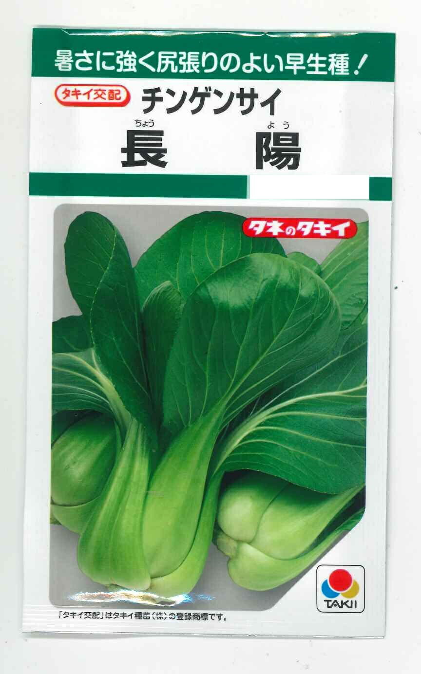 中国野菜チンゲンサイ長陽　2.7ml タキイ種苗（株）GF