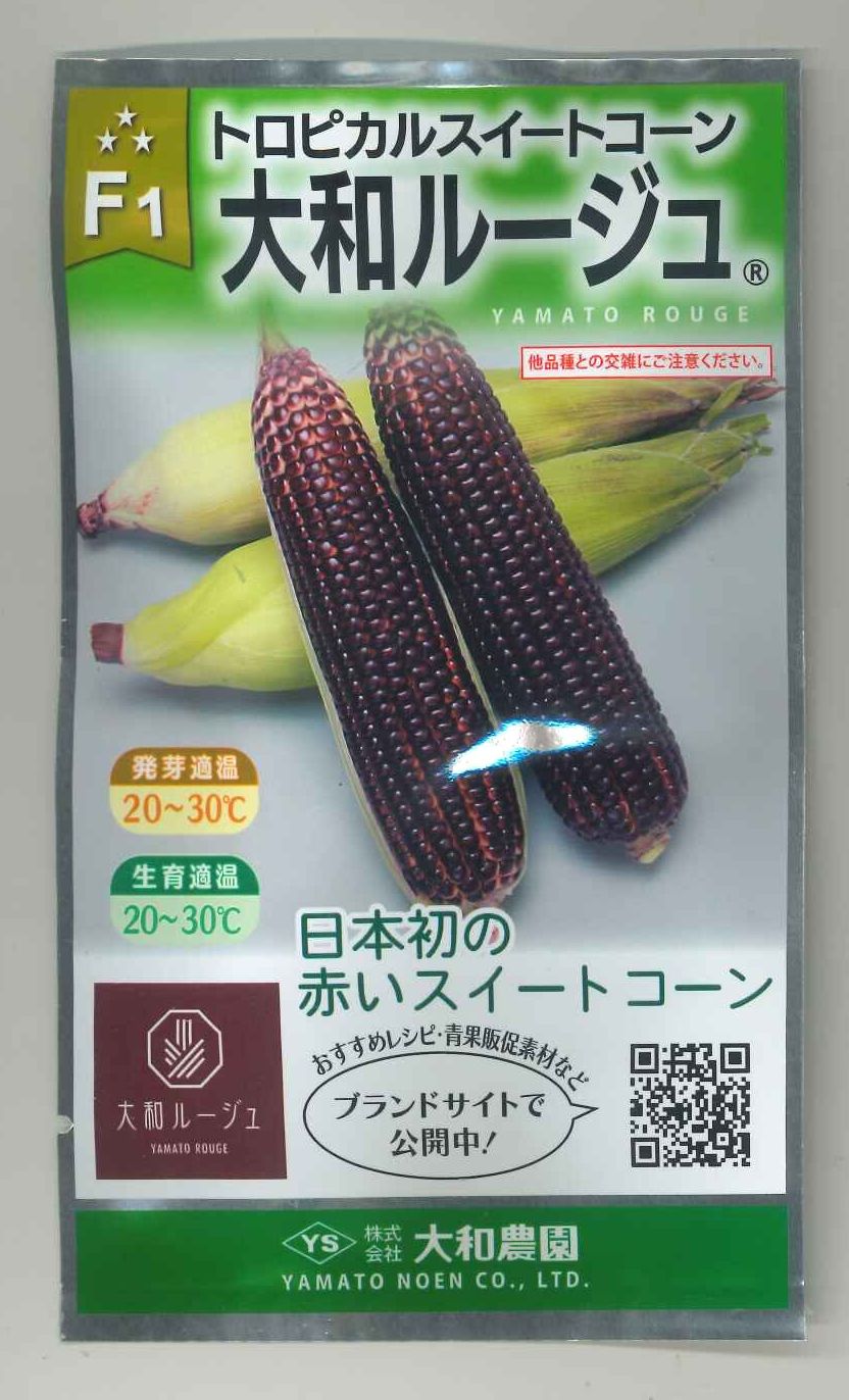 品薄【 飼料用 キビ 】 サマーミレット 1kg 牧草 放牧 採草 栽培用 緑化 種子 カネコ種苗