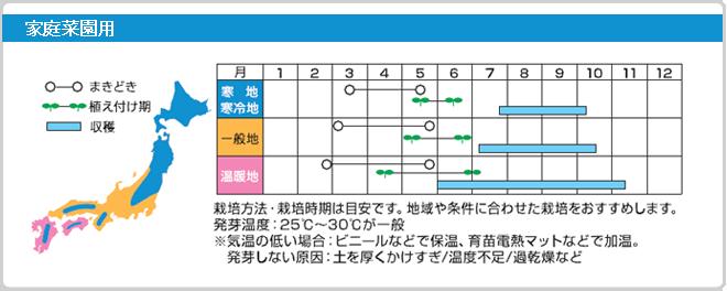 送料無料！野菜種マウロの地中海トマトベネチアンサンセット8粒