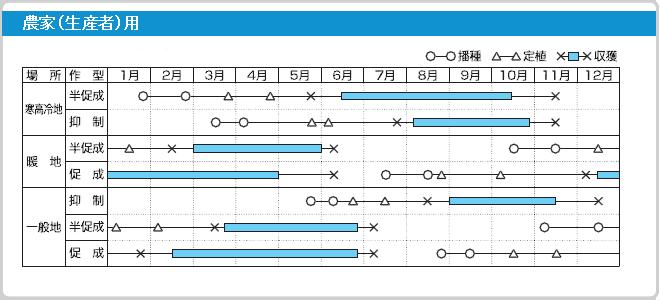 送料無料！野菜種マウロの地中海トマトベネチアンサンセット8粒