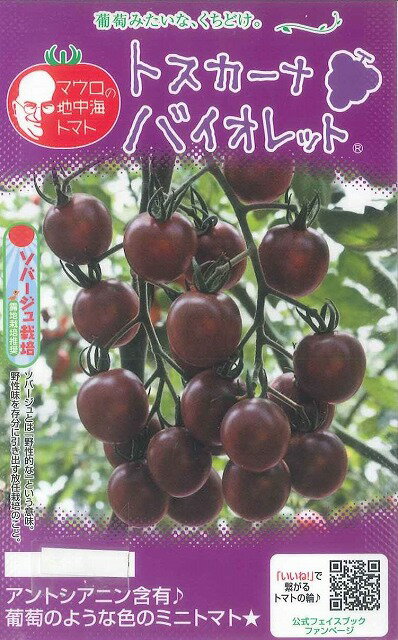 マウロの地中海トマトトスカーナバイオレット8粒