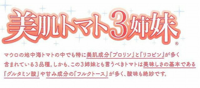 送料無料！マウロの地中海トマトロッソナポリタン1000粒