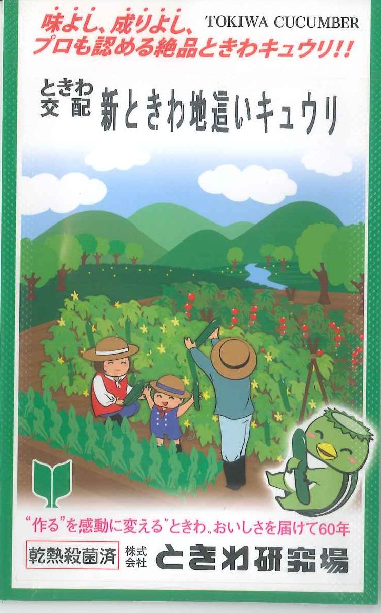 きゅうり 新ときわ地這いキュウリ 40粒 (株)ときわ研究場のサムネイル