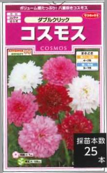 花の種コスモス ダブルクリック約36粒 株 サカタのタネ 実咲