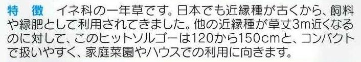 緑肥ヒットソルゴー　20ml　サカタのタネ