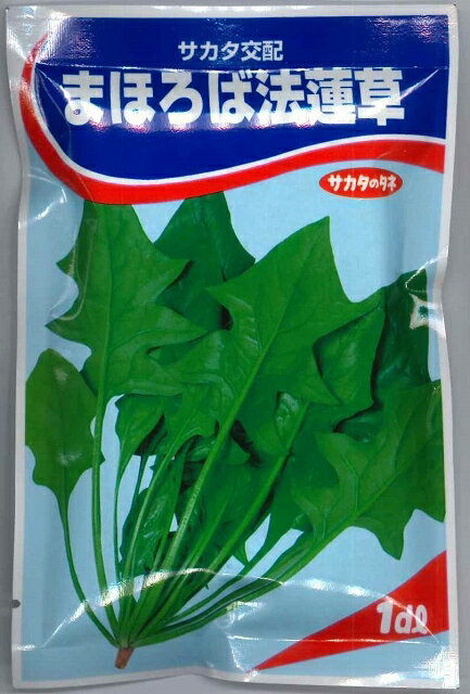 ほうれんそう まほろばほうれんそう 1dl (株)サカタのタネ